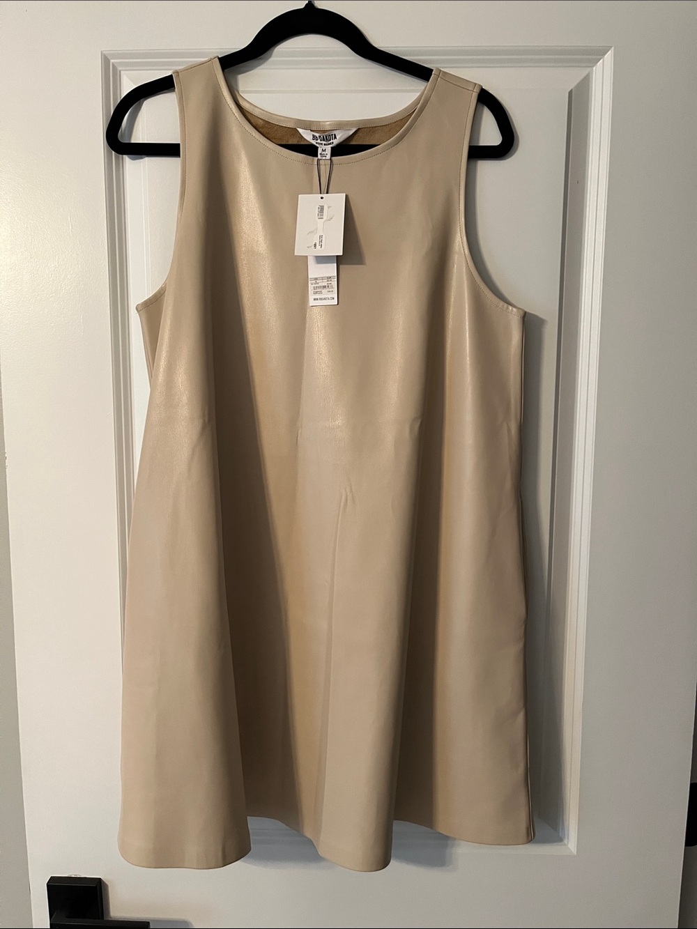BB Dakota Steve Madden Bone Vegan leather trapeze dress with pockets (medium)